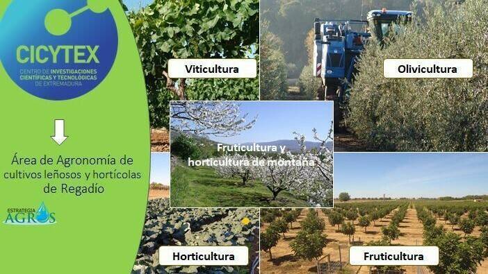 cicytex para rect (2)|Charlas-Podcast-1|Prieto-Losada-Ma-del-Henar-profile-pic